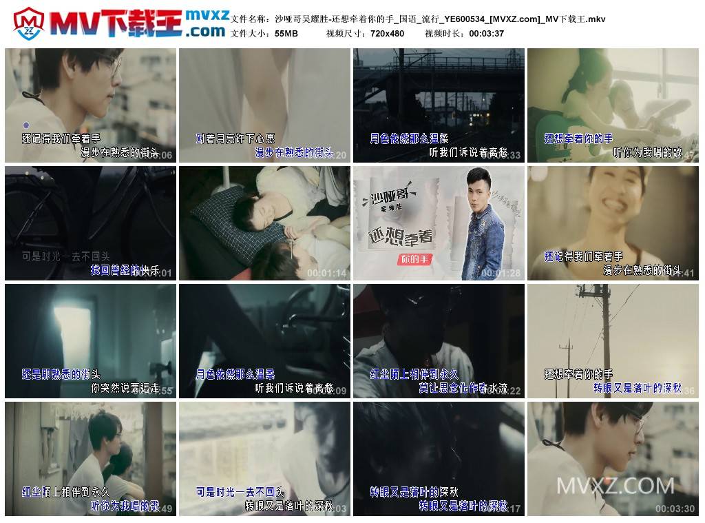 沙哑哥吴耀胜-还想牵着你的手_国语_流行_YE600534